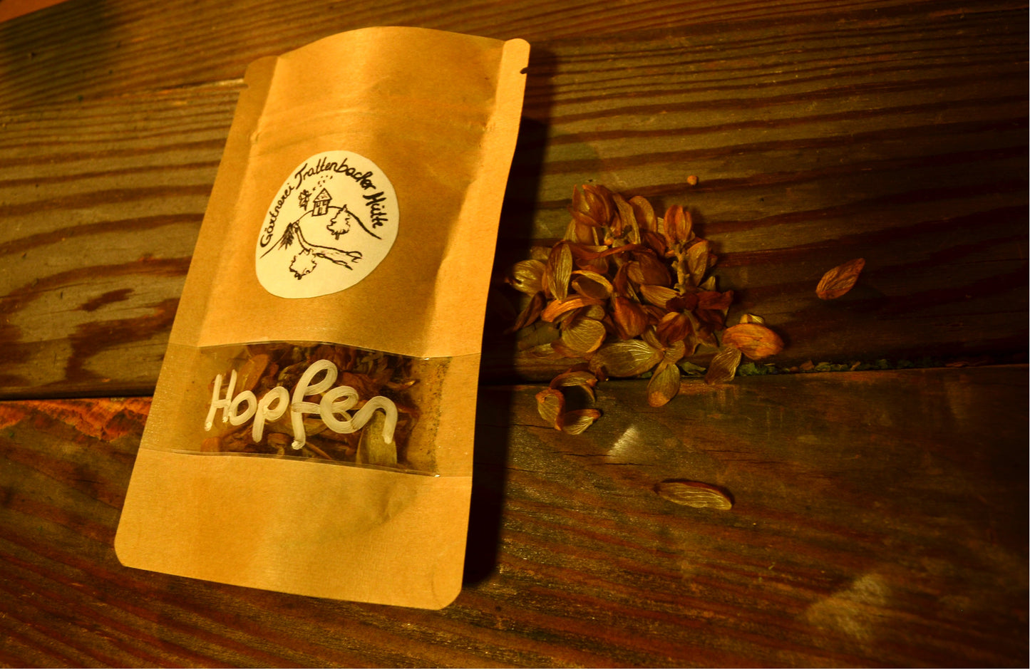 Hopfenzapfen